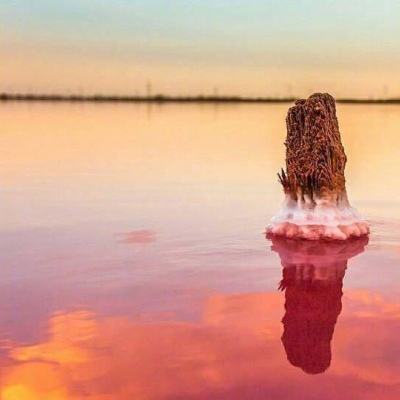 皇冠登陆入口welcome