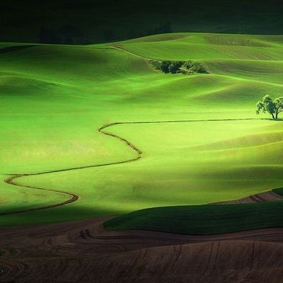 乐发彩票APP下载app下载