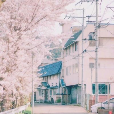 麻将胡了模拟器下载