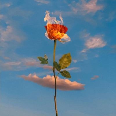 澳门新葡萄新京8883