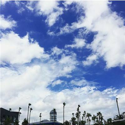 乐彩网app官方正版下载